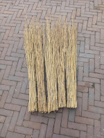 eventing equipment losse borstels