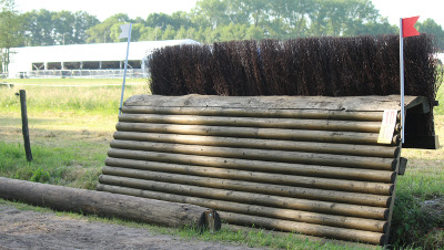 eventingequipment bulfin met bezemborstel