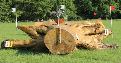 eventingequipment grote boomstam met wortelstronk