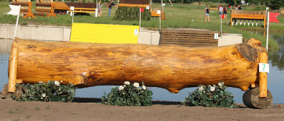 eventingequipment waterinsprong boomstam groot